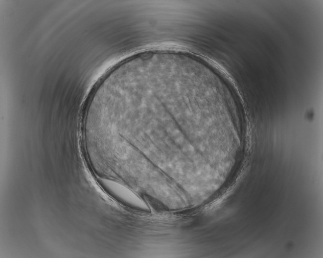 X0000114640989200912011044