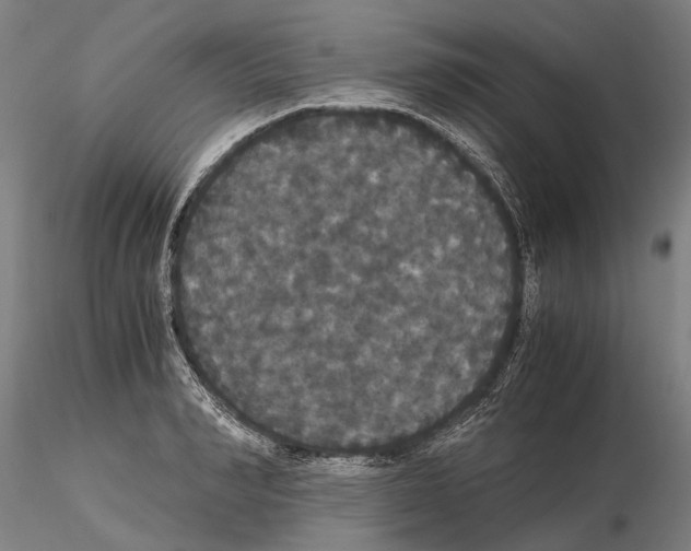 X0000114640990200912011044