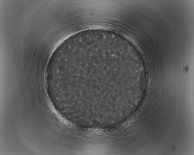 X0000114640991200912011044