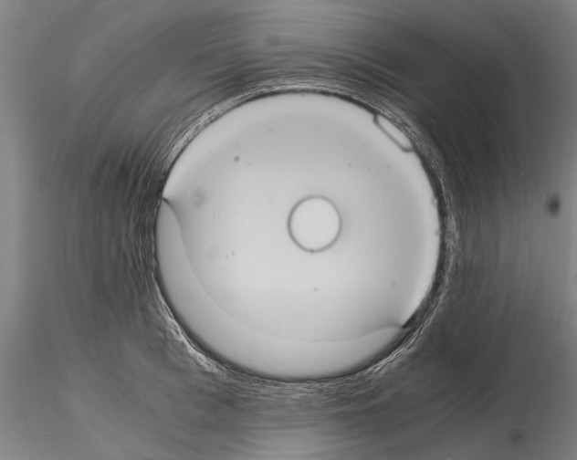 X0000114640993200912011044