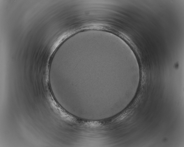 X0000114640994200912011044