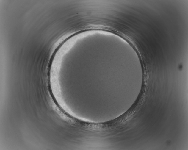 X0000114640995200912011044