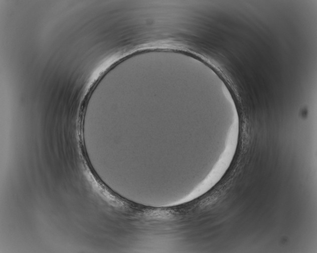 X0000114640998200912011044