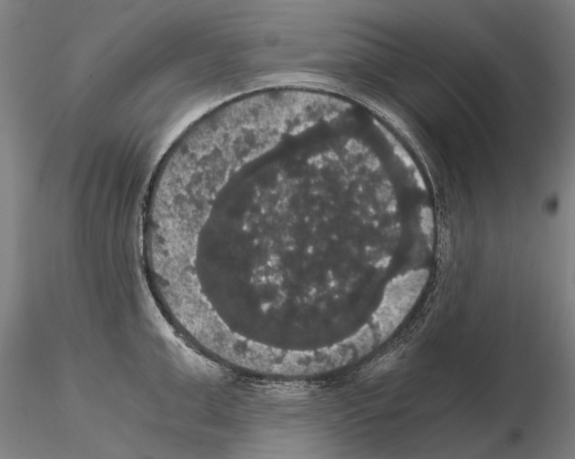 X0000114640999200912011044