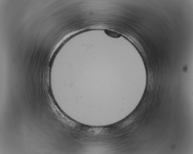 X0000114641000200912011044