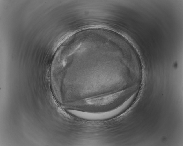 X0000114641001200912011044