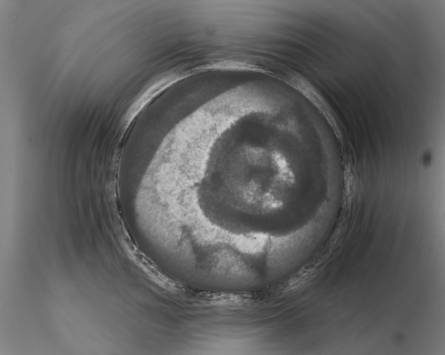 X0000114641002200912011044