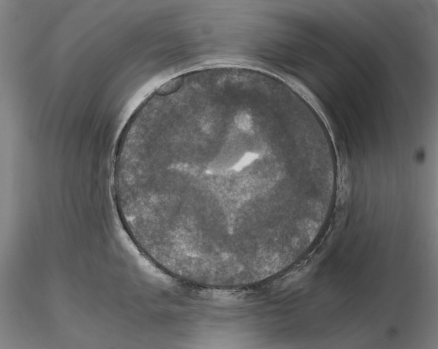 X0000114641005200912011044