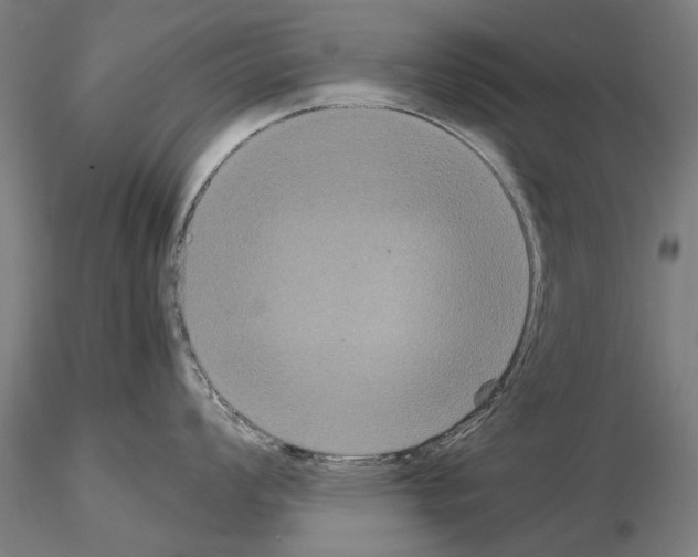 X0000114641008200912011044