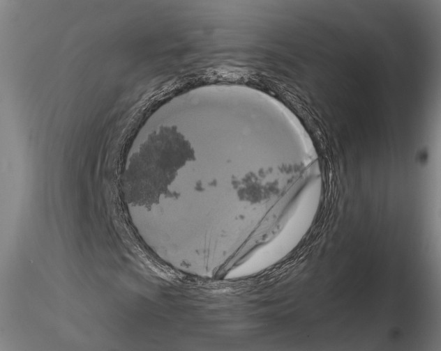 X0000114641009200912011043