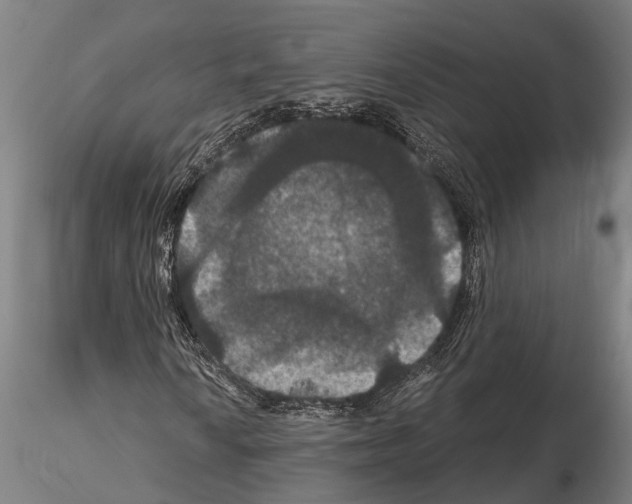 X0000114641010200912011043