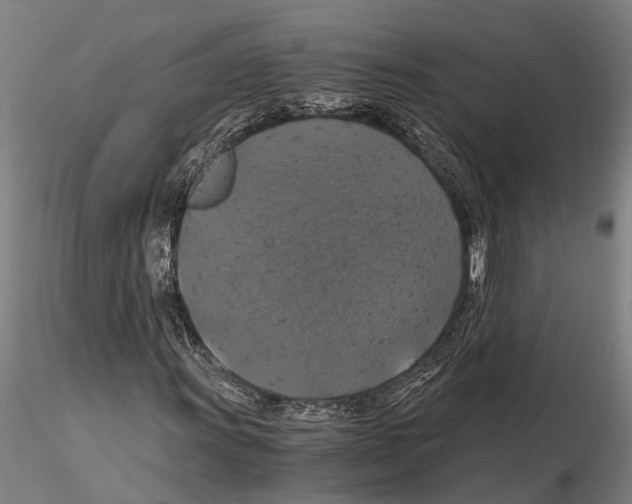 X0000114641011200912011043