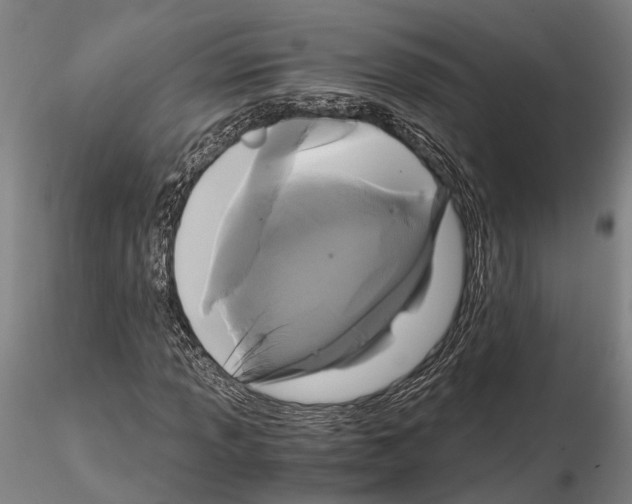 X0000114641013200912011043