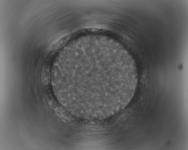 X0000114641014200912011043