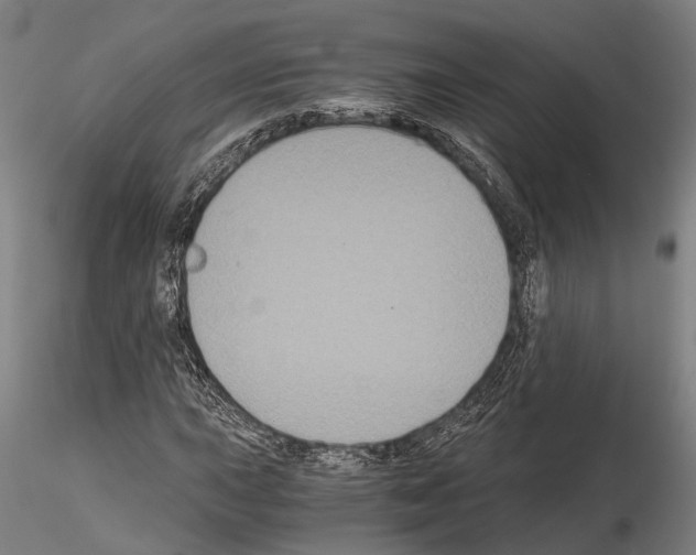 X0000114641015200912011043