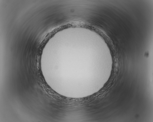 X0000114641016200912011043