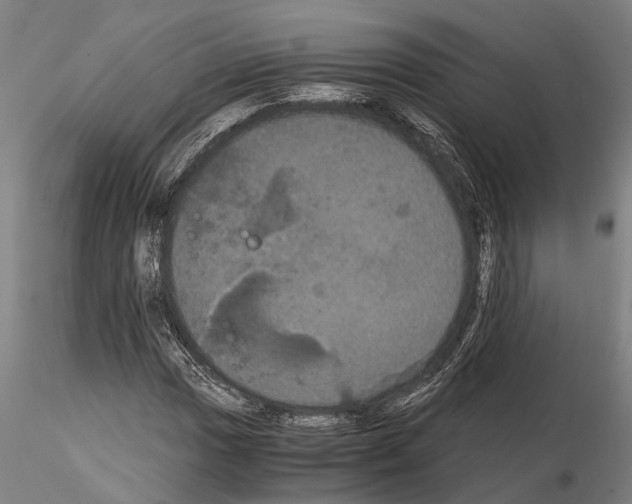 X0000114641017200912011043