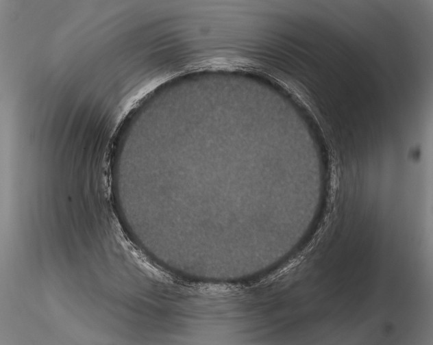 X0000114641018200912011043