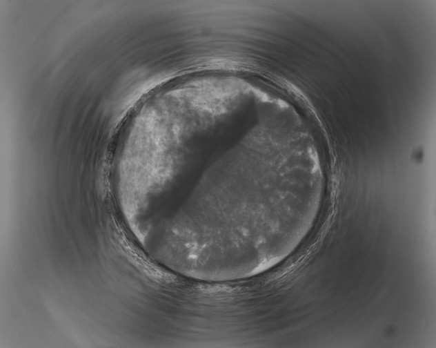 X0000114641019200912011043