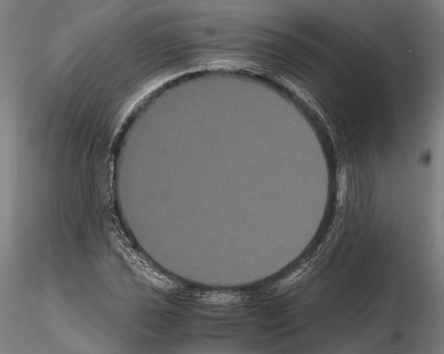 X0000114641021200912011044