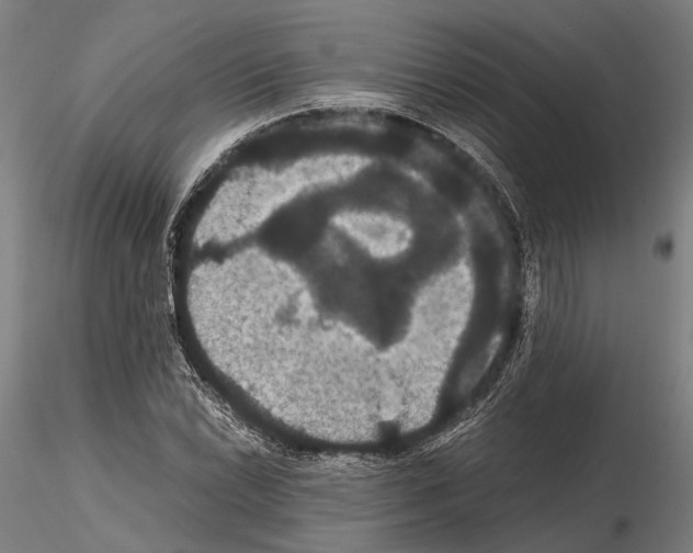 X0000114641022200912011044