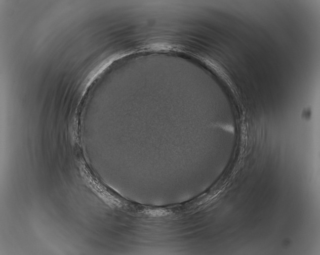 X0000114641023200912011044