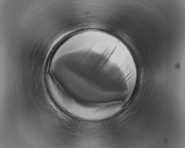 X0000114641024200912011044