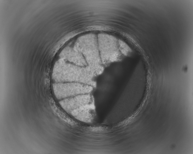 X0000114641025200912011044