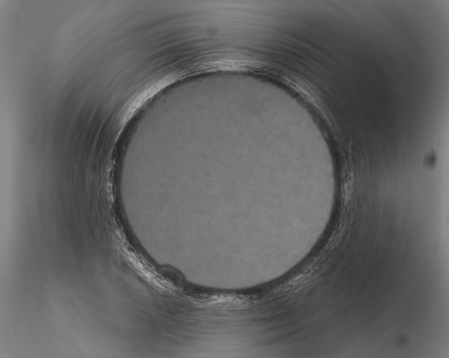 X0000114641026200912011044