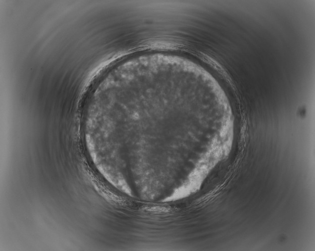 X0000114641027200912011044