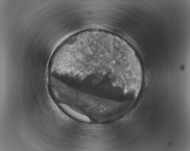 X0000114641028200912011044