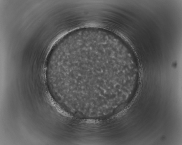 X0000114641029200912011044