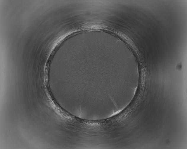 X0000114641031200912011044