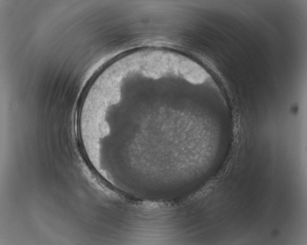 X0000114641032200912011044