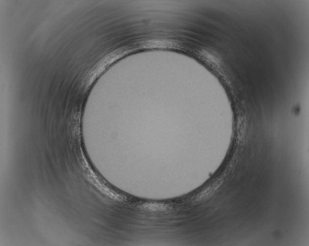 X0000114641033200912011044