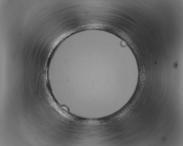 X0000114641034200912011044