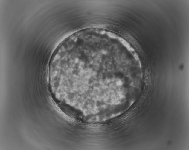 X0000114641036200912011044