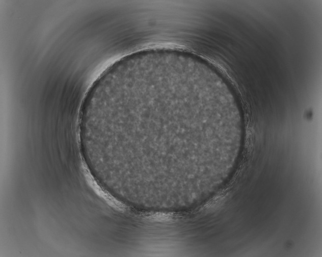 X0000114641038200912011044