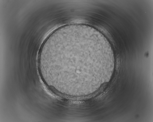 X0000114641039200912011044