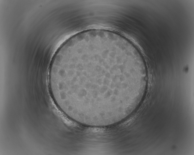 X0000114641040200912011044