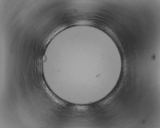 X0000114641041200912011044