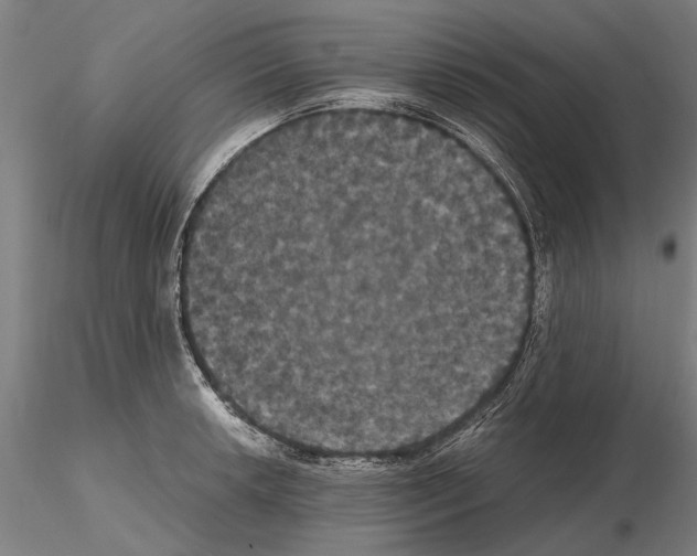 X0000114641042200912011044