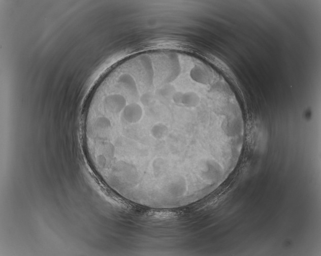 X0000114641043200912011044