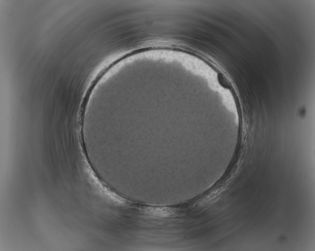 X0000114641045200912011044