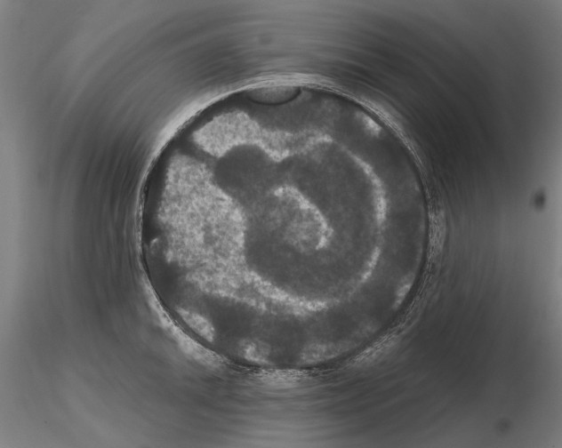 X0000114641046200912011044