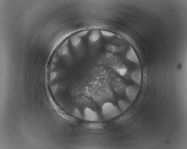 X0000114641047200912011044