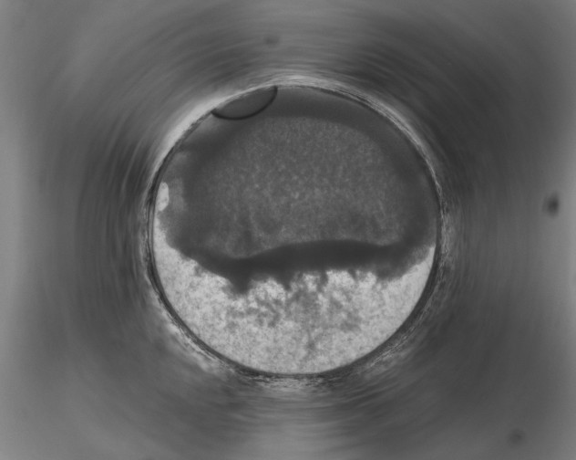 X0000114641048200912011044