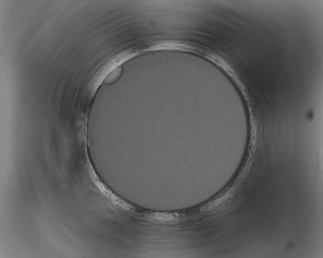 X0000114641049200912011044