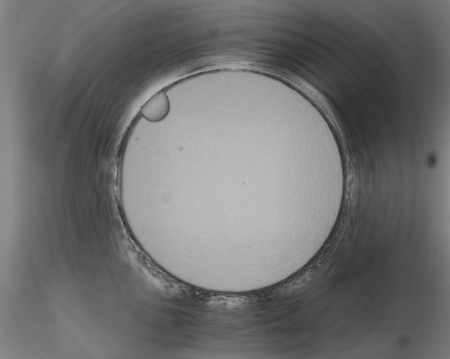 X0000114641051200912011044