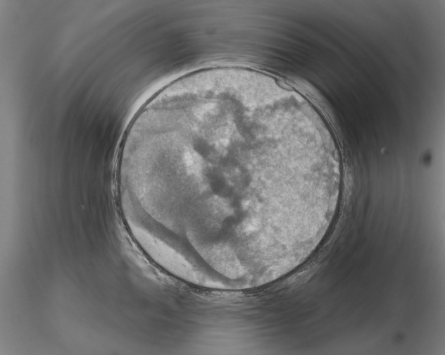 X0000114641052200912011044